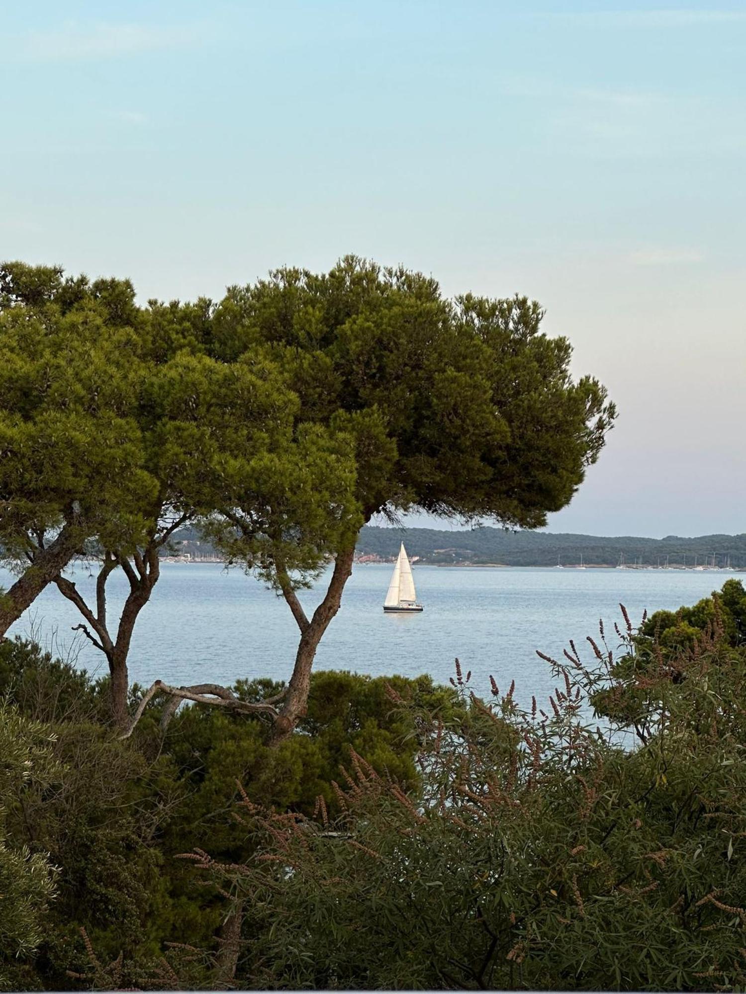 L'Instant Plage - Vue Mer - Bord De Plage - La Capte - Cote D'Azur Hyères Esterno foto